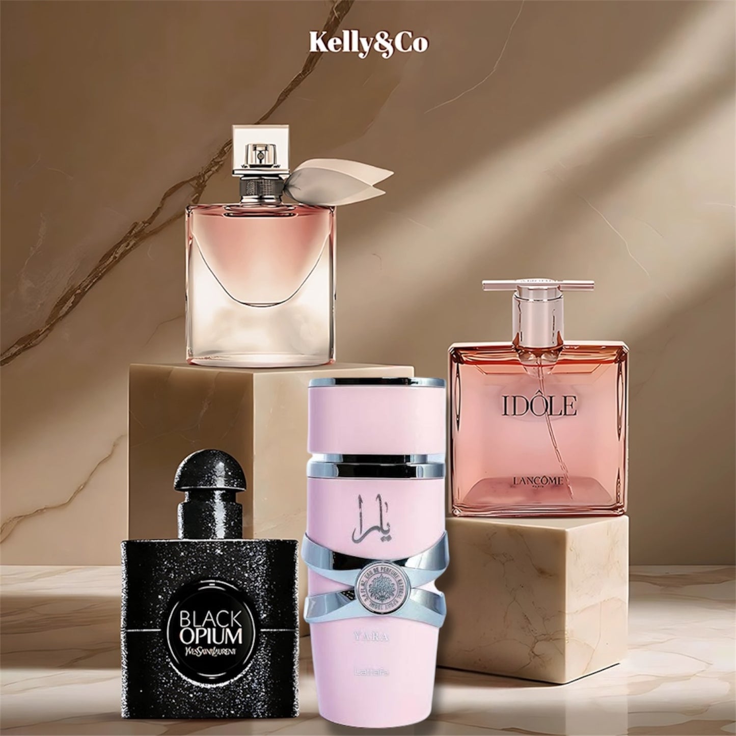 بوكس البرنسيسة